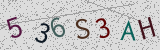 Défi visuel du captcha