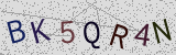 Défi visuel du captcha