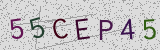 Défi visuel du captcha